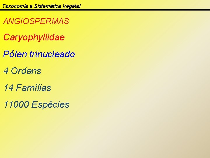 Taxonomia e Sistemática Vegetal ANGIOSPERMAS Caryophyllidae Pólen trinucleado 4 Ordens 14 Famílias 11000 Espécies