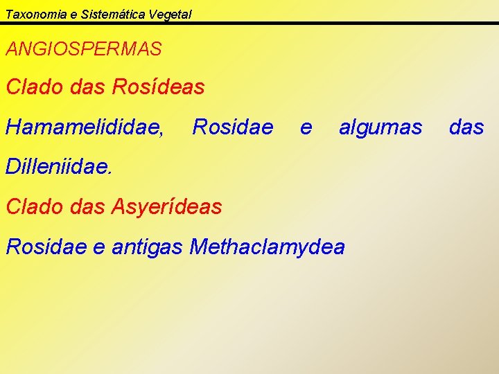 Taxonomia e Sistemática Vegetal ANGIOSPERMAS Clado das Rosídeas Hamamelididae, Rosidae e algumas Dilleniidae. Clado