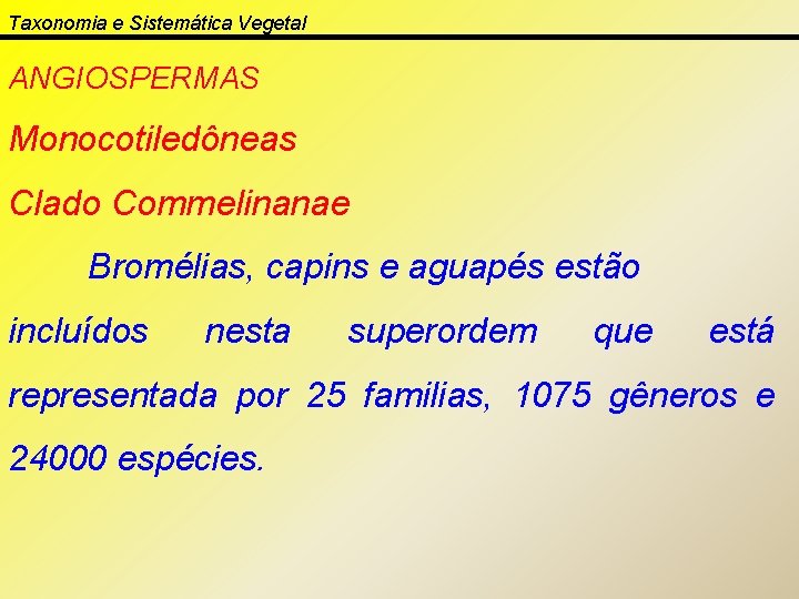 Taxonomia e Sistemática Vegetal ANGIOSPERMAS Monocotiledôneas Clado Commelinanae Bromélias, capins e aguapés estão incluídos