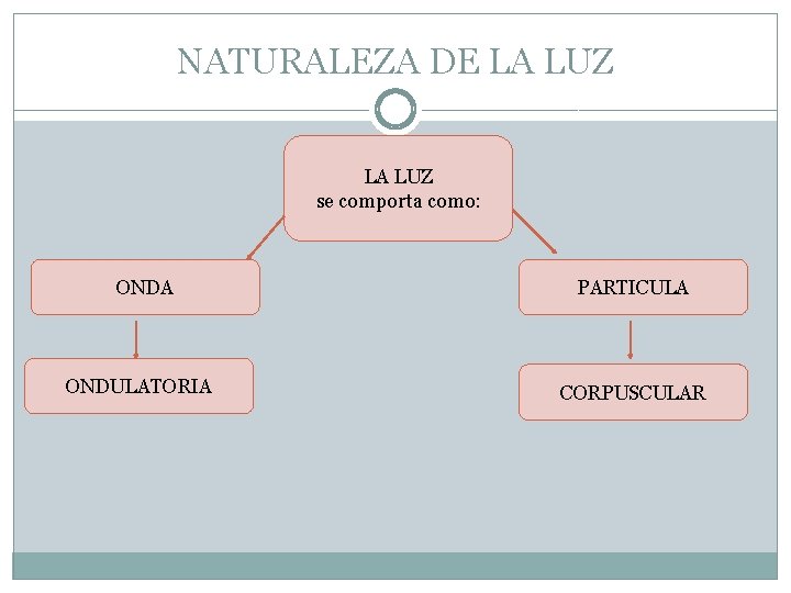 NATURALEZA DE LA LUZ se comporta como: ONDA ONDULATORIA PARTICULA CORPUSCULAR 