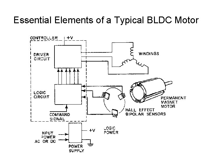 Essential Elements of a Typical BLDC Motor 