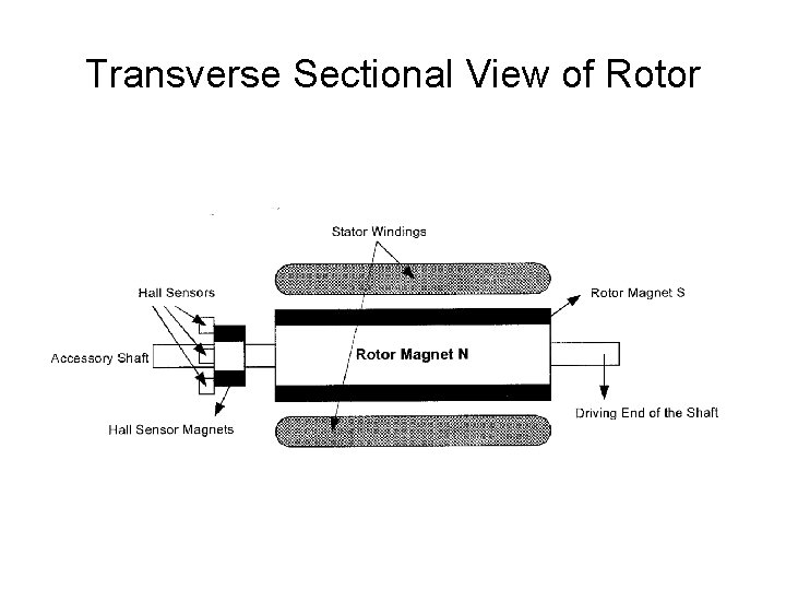 Transverse Sectional View of Rotor 