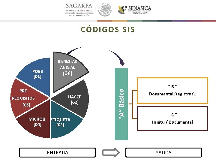 CÓDIGOS SIS (06) PRE REQUISITOS (05) HACCP (02) MICROB. ETIQUETA (04) (03) ENTRADA “A”