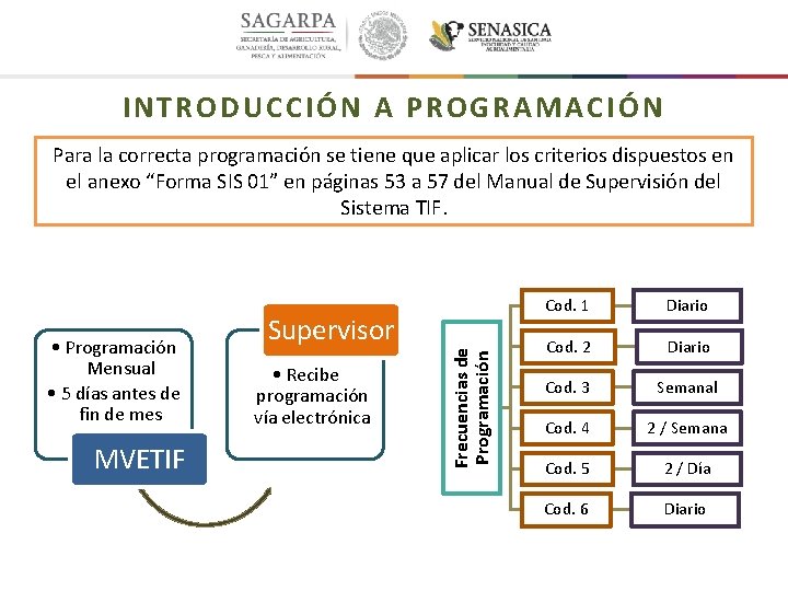 INTRODUCCIÓN A PROGRAMACIÓN Para la correcta programación se tiene que aplicar los criterios dispuestos