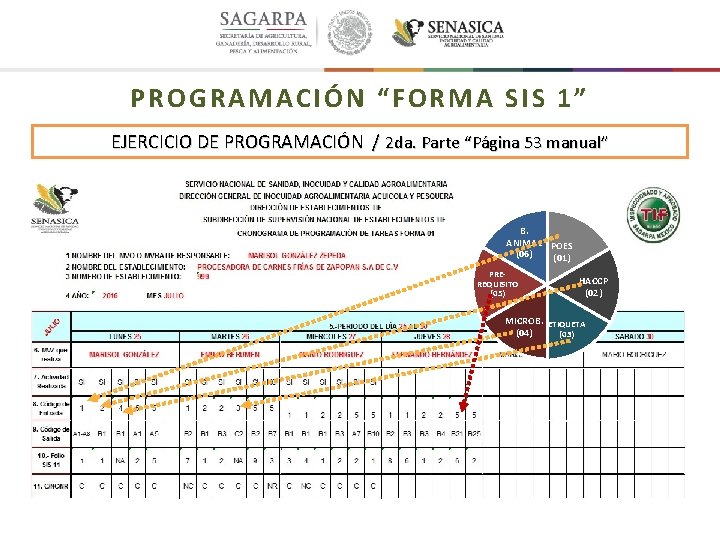 PROGRAMACIÓN “FORMA SIS 1” EJERCICIO DE PROGRAMACIÓN / 2 da. Parte “Página 53 manual”