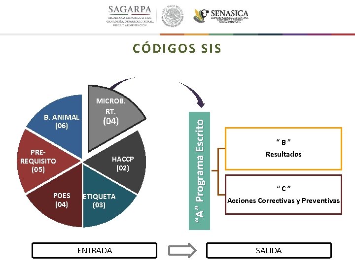 CÓDIGOS SIS PREREQUISITO (05) POES (04) HACCP (02) ETIQUETA (03) ENTRADA “A” Programa Escrito