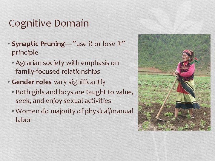 Cognitive Domain • Synaptic Pruning—”use it or lose it” principle • Agrarian society with