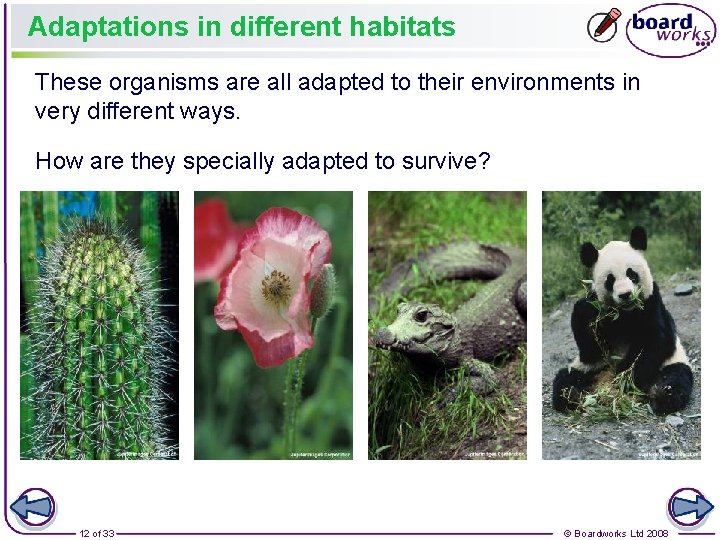 Adaptations in different habitats These organisms are all adapted to their environments in very