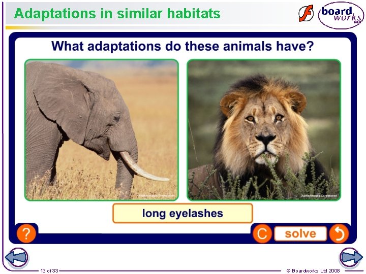 Adaptations in similar habitats 13 of 33 © Boardworks Ltd 2008 