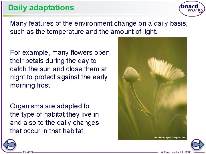 Daily adaptations Many features of the environment change on a daily basis, such as