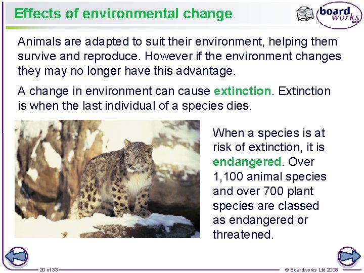 Effects of environmental change Animals are adapted to suit their environment, helping them survive