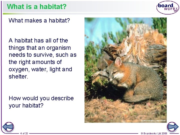 What is a habitat? What makes a habitat? A habitat has all of the