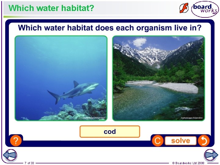 Which water habitat? 7 of 33 © Boardworks Ltd 2008 