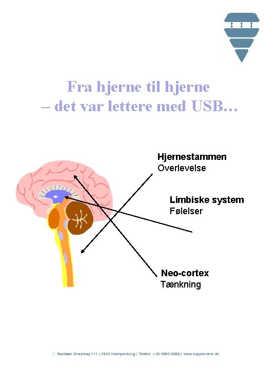 Fra hjerne til hjerne – det var lettere med USB… Hjernestammen Overlevelse Limbiske system