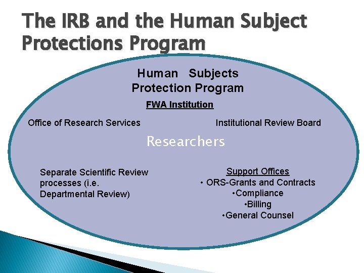 The IRB and the Human Subject Protections Program Human Subjects Protection Program FWA Institution