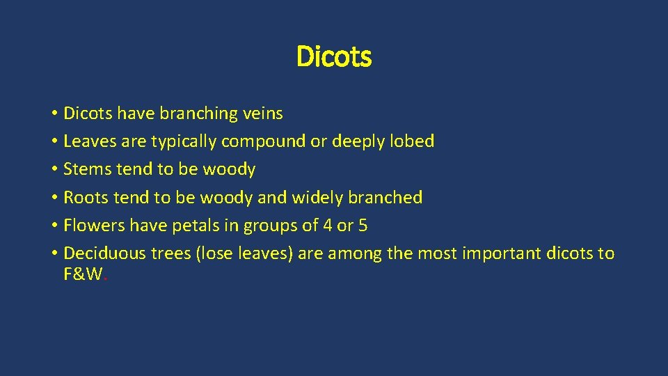 Dicots • Dicots have branching veins • Leaves are typically compound or deeply lobed