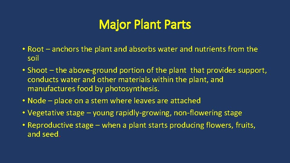 Major Plant Parts • Root – anchors the plant and absorbs water and nutrients
