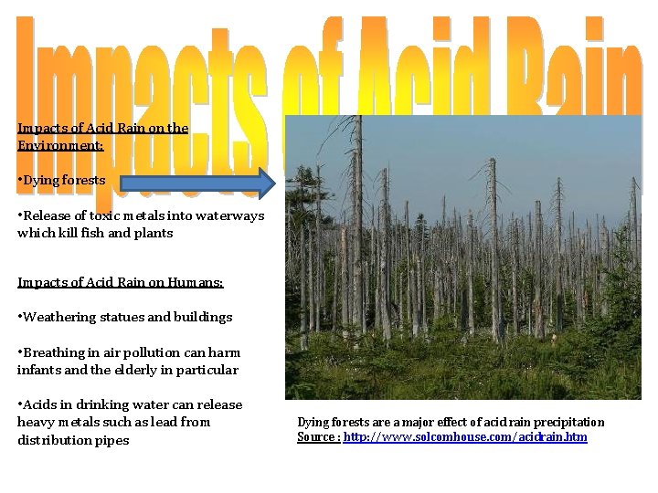 Impacts of Acid Rain on the Environment: • Dying forests • Release of toxic