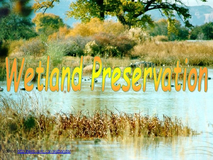 Source: http: //web. uvic. ca/~wetlands/ 