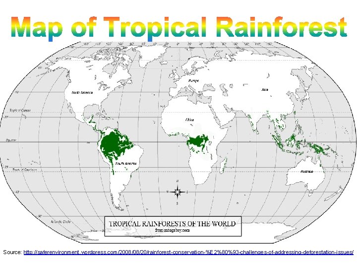 Source: http: //saferenvironment. wordpress. com/2008/08/20/rainforest-conservation-%E 2%80%93 -challenges-of-addressing-deforestation-issues/ 