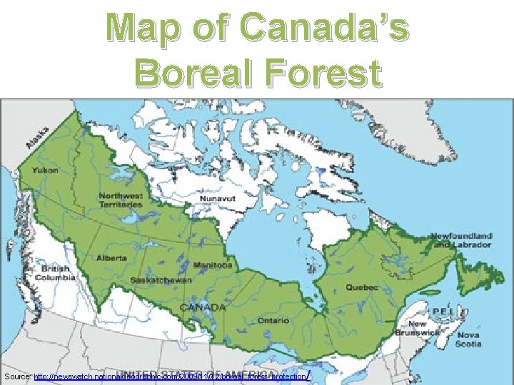 Map of Canada’s Boreal Forest / Source: http: //newswatch. nationalgeographic. com/2009/11/12/boreal_forest_protection 