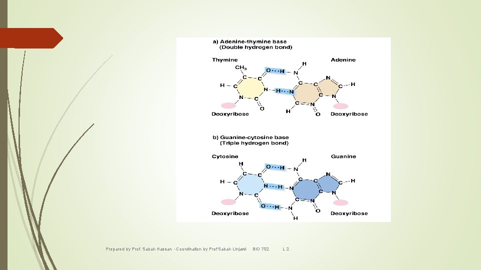 Prepared by Prof. Sabah Hassan -Coordination by Prof Sabah Linjawi BIO 702 L 2