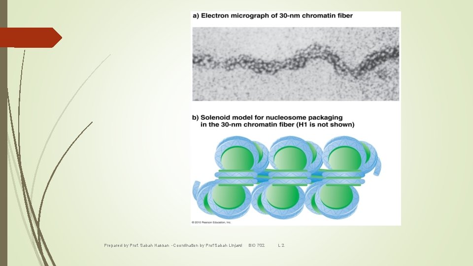 Prepared by Prof. Sabah Hassan -Coordination by Prof Sabah Linjawi BIO 702 L 2