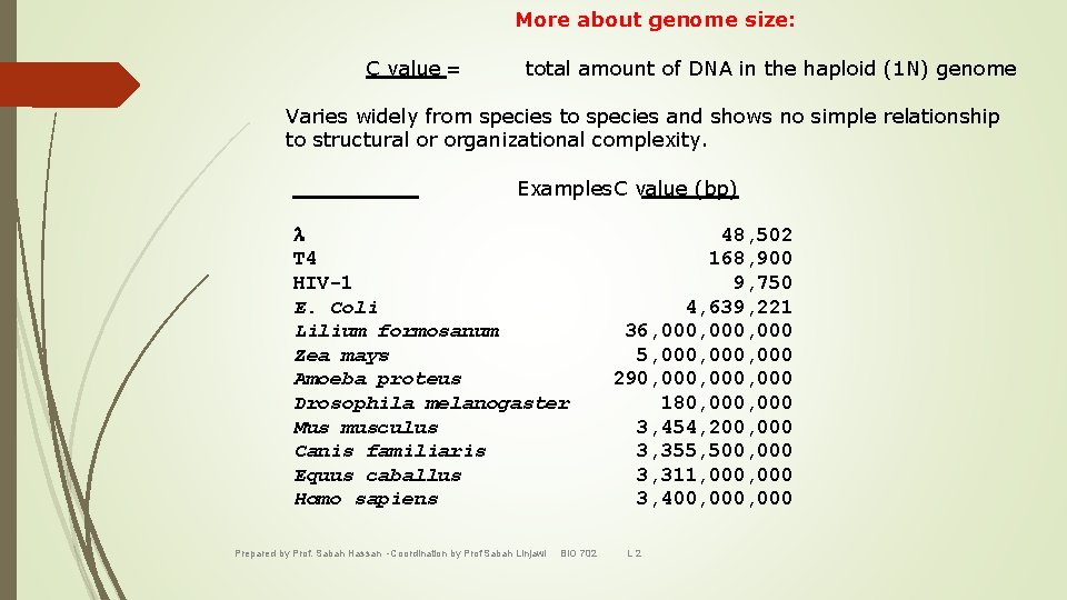 More about genome size: C value = total amount of DNA in the haploid