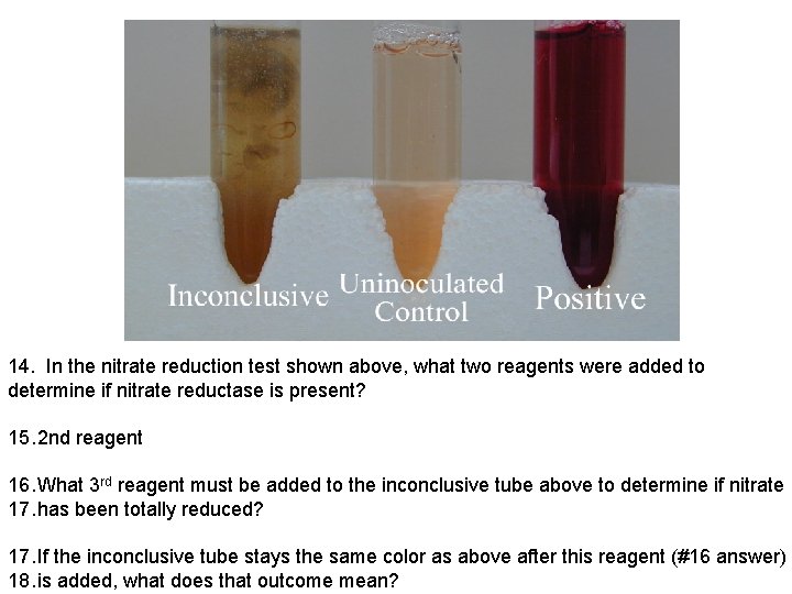 14. In the nitrate reduction test shown above, what two reagents were added to