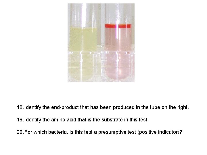18. Identify the end-product that has been produced in the tube on the right.