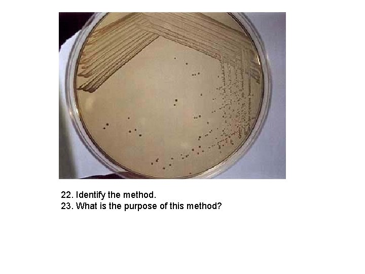 22. Identify the method. 23. What is the purpose of this method? 