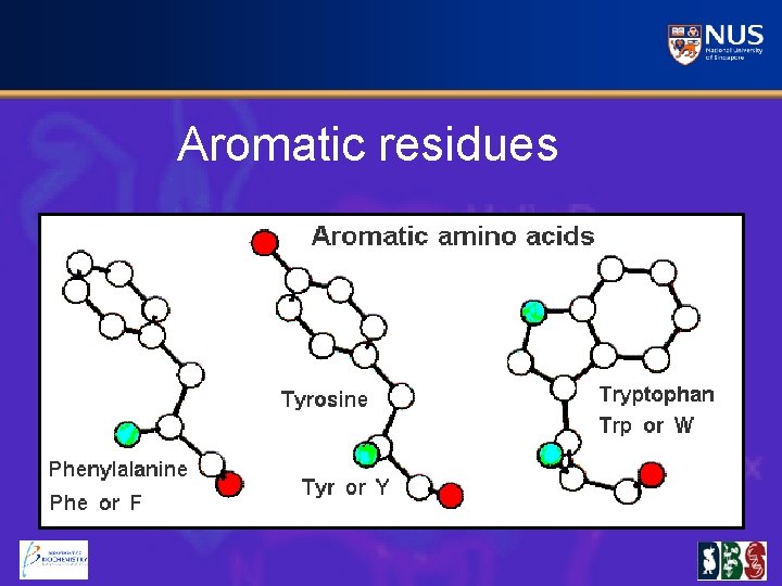 Aromatic residues 