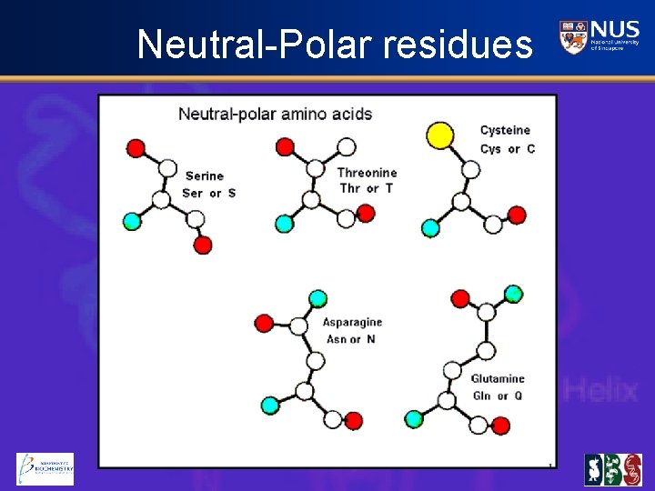 Neutral-Polar residues 