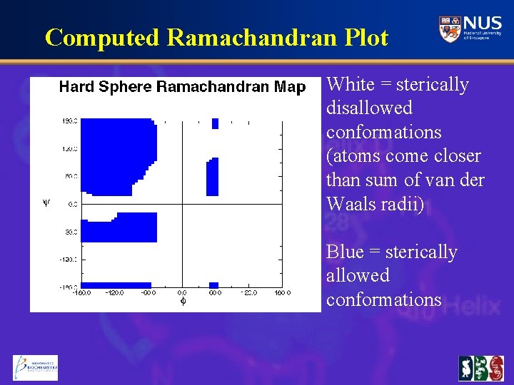 Computed Ramachandran Plot White = sterically disallowed conformations (atoms come closer than sum of