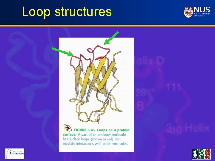 Loop structures 