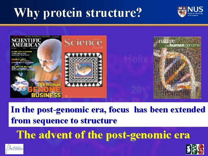 Why protein structure? In the post-genomic era, focus has been extended from sequence to