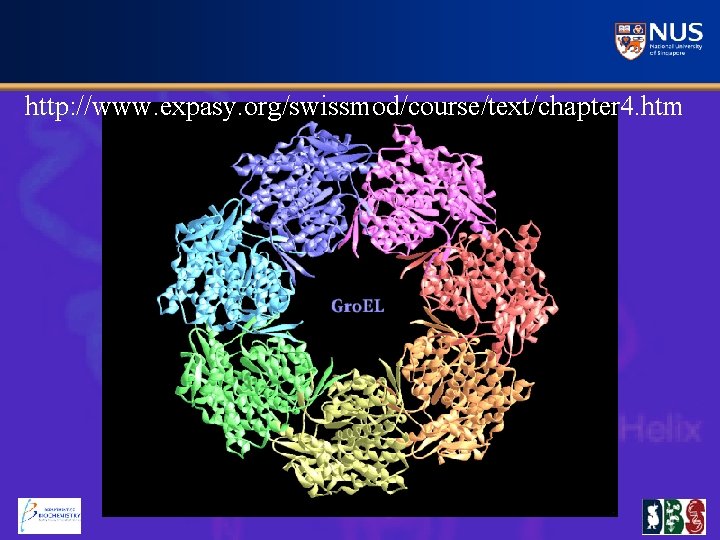 http: //www. expasy. org/swissmod/course/text/chapter 4. htm 