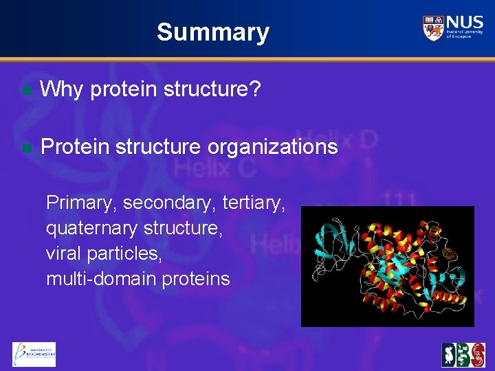 Summary n Why protein structure? n Protein structure organizations Primary, secondary, tertiary, quaternary structure,