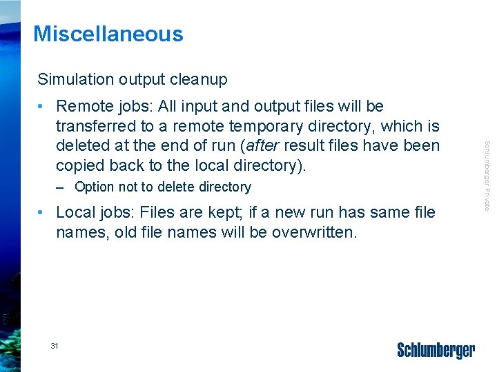 Miscellaneous Simulation output cleanup – Option not to delete directory • Local jobs: Files