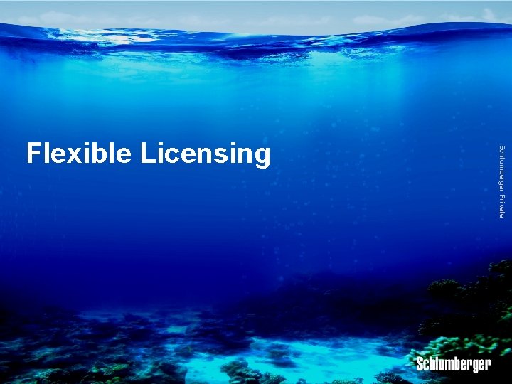 Schlumberger Private Flexible Licensing 
