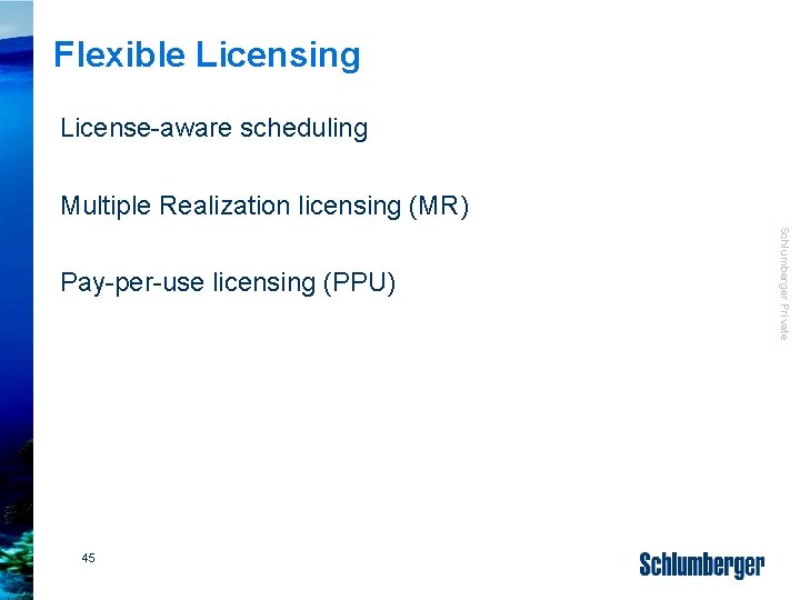 Flexible Licensing License-aware scheduling Multiple Realization licensing (MR) 45 Schlumberger Private Pay-per-use licensing (PPU)