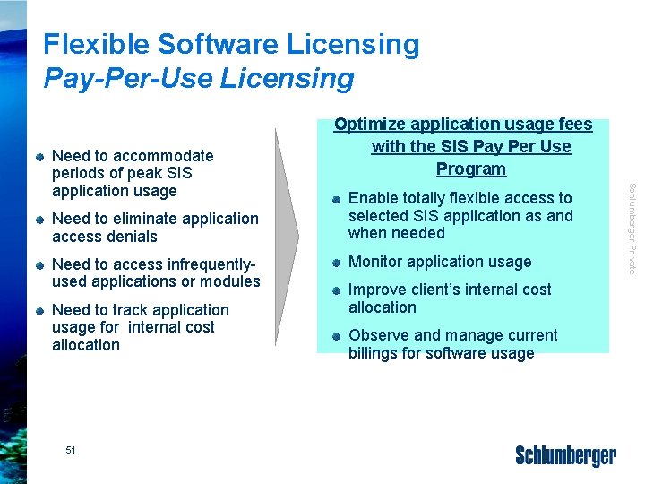 Flexible Software Licensing Pay-Per-Use Licensing Need to eliminate application access denials Need to access