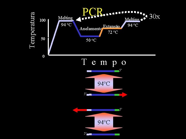 Temperatura 100 50 0 Melting 94 o. C PCR Anelamento Extensão 72 o. C