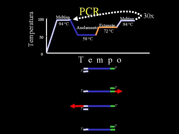 Temperatura 100 50 0 Melting 94 o. C PCR Anelamento Extensão 72 o. C