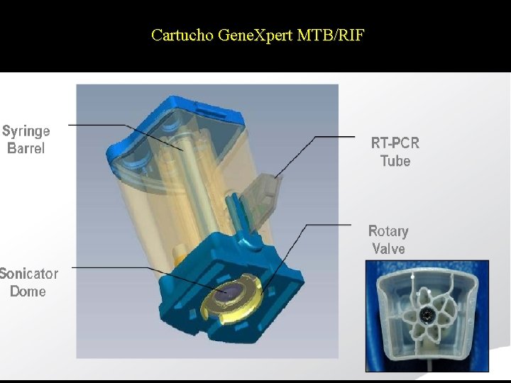 Cartucho Gene. Xpert MTB/RIF 