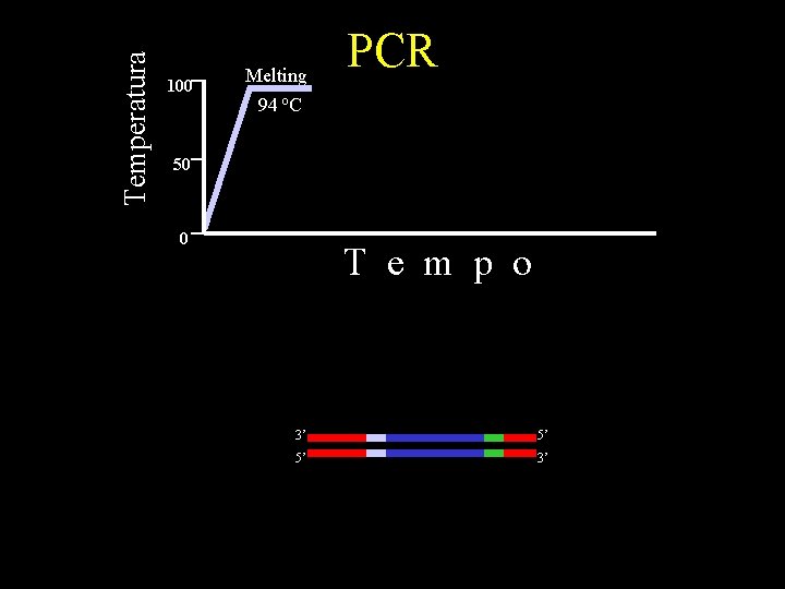 Temperatura 100 Melting 94 o. C PCR 50 0 T e m p o