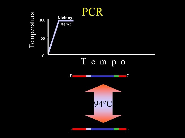 Temperatura 100 Melting 94 o. C PCR 50 0 T e m p o