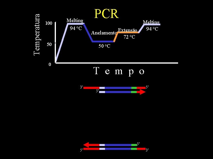 Temperatura 100 Melting 94 o. C 50 PCR Anelamento Extensão 72 o. C Melting