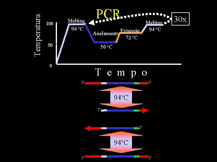 Temperatura 100 Melting 94 o. C 50 PCR Anelamento Extensão 72 o. C Melting