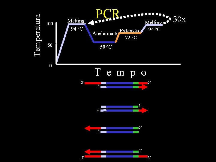 Temperatura 100 Melting 94 o. C 50 PCR Anelamento Extensão 72 o. C Melting